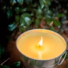 Wax Melts - Citronella